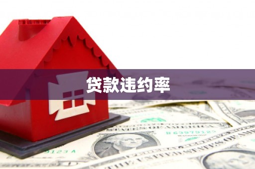 隆昌贷款违约率