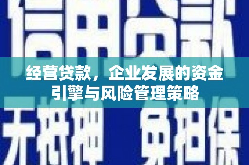 隆昌经营贷款，企业发展的资金引擎与风险管理策略