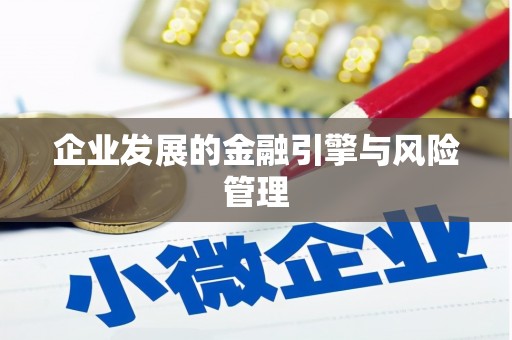 隆昌企业发展的金融引擎与风险管理