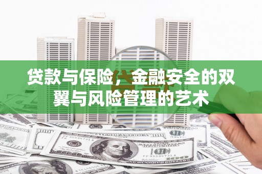 隆昌贷款与保险，金融安全的双翼与风险管理的艺术