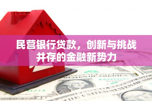隆昌民营银行贷款，创新与挑战并存的金融新势力