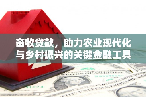 隆昌畜牧贷款，助力农业现代化与乡村振兴的关键金融工具