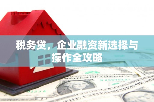 隆昌税务贷，企业融资新选择与操作全攻略