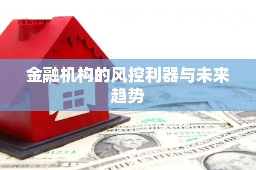 隆昌金融机构的风控利器与未来趋势