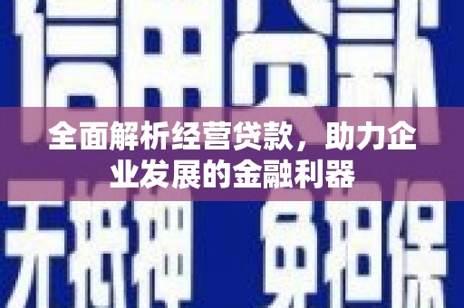 隆昌全面解析经营贷款，助力企业发展的金融利器