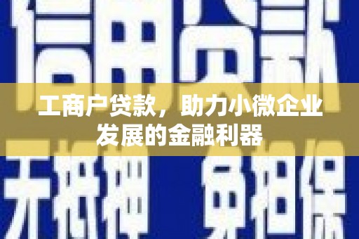 隆昌工商户贷款，助力小微企业发展的金融利器