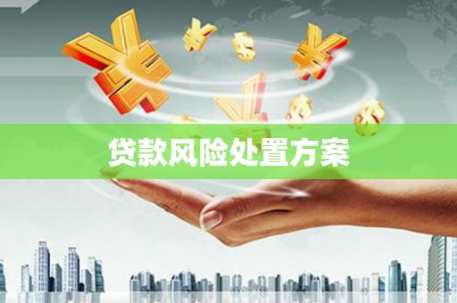 隆昌贷款风险处置方案