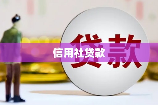 隆昌信用社贷款