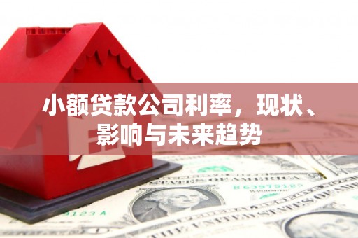 隆昌小额贷款公司利率，现状、影响与未来趋势
