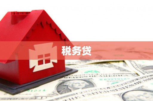 隆昌税务贷
