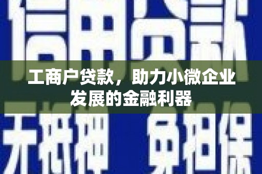 隆昌工商户贷款，助力小微企业发展的金融利器
