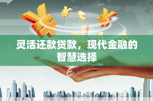隆昌灵活还款贷款，现代金融的智慧选择