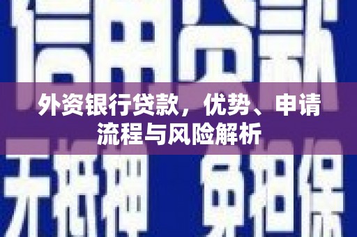 隆昌外资银行贷款，优势、申请流程与风险解析