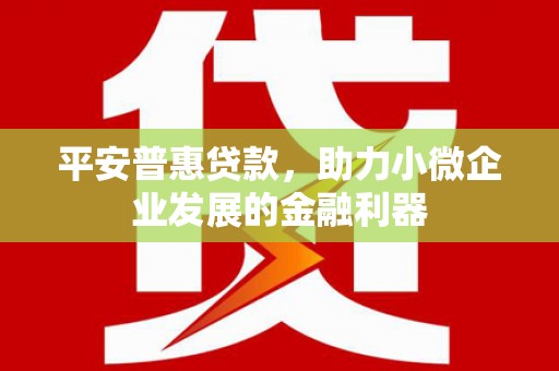 隆昌平安普惠贷款，助力小微企业发展的金融利器