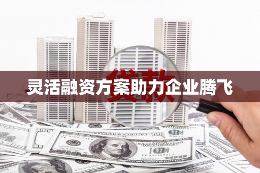 隆昌灵活融资方案助力企业腾飞