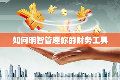 隆昌如何明智管理你的财务工具