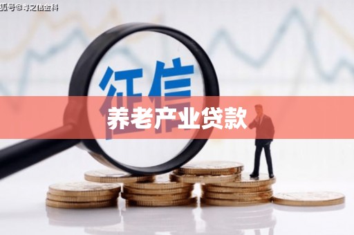 隆昌养老产业贷款