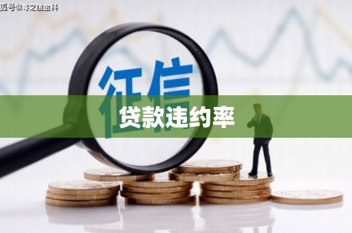隆昌贷款违约率