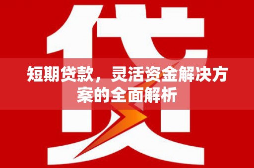 隆昌短期贷款，灵活资金解决方案的全面解析