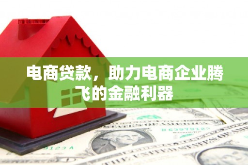隆昌电商贷款，助力电商企业腾飞的金融利器