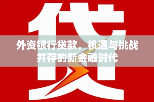隆昌外资银行贷款，机遇与挑战并存的新金融时代