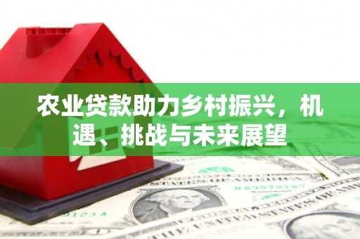隆昌农业贷款助力乡村振兴，机遇、挑战与未来展望