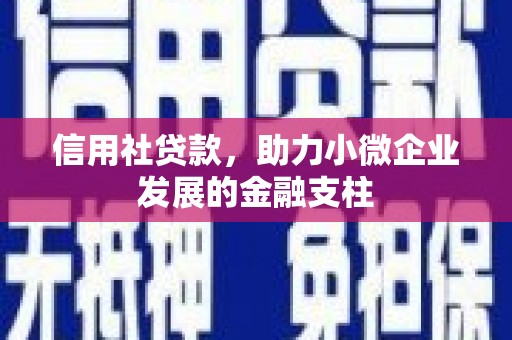 隆昌信用社贷款，助力小微企业发展的金融支柱