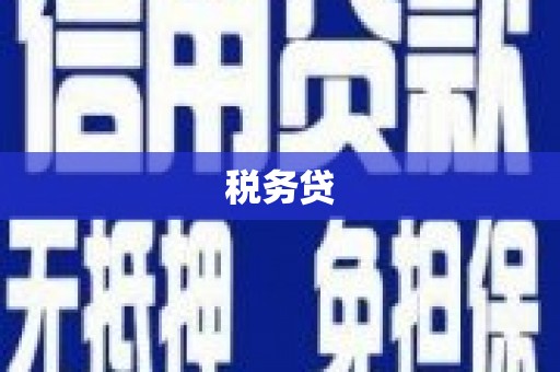 隆昌税务贷