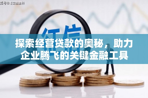 隆昌探索经营贷款的奥秘，助力企业腾飞的关键金融工具