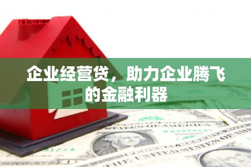 隆昌企业经营贷，助力企业腾飞的金融利器