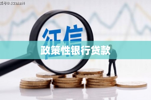 隆昌政策性银行贷款