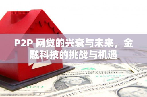 隆昌P2P 网贷的兴衰与未来，金融科技的挑战与机遇