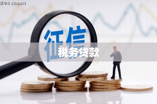 隆昌税务贷款