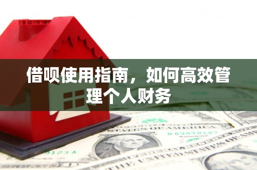 隆昌借呗使用指南，如何高效管理个人财务