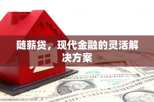 隆昌随薪贷，现代金融的灵活解决方案