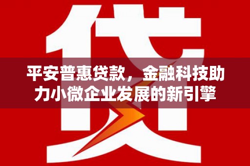 隆昌平安普惠贷款，金融科技助力小微企业发展的新引擎