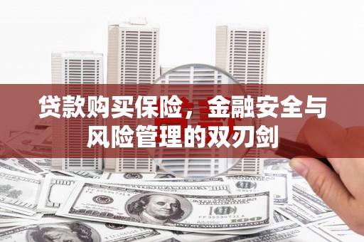 隆昌贷款购买保险，金融安全与风险管理的双刃剑
