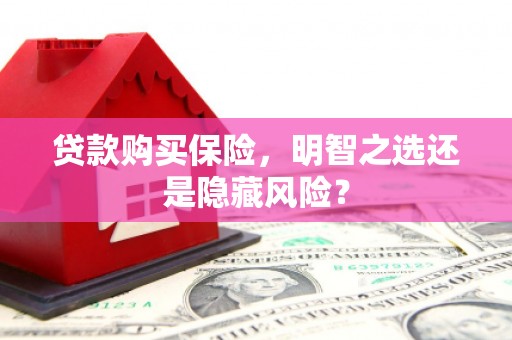 隆昌贷款购买保险，明智之选还是隐藏风险？