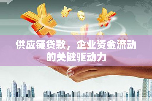 隆昌供应链贷款，企业资金流动的关键驱动力