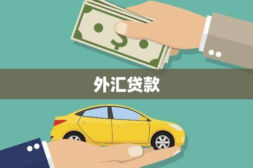 隆昌外汇贷款