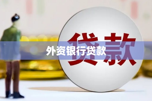 隆昌外资银行贷款