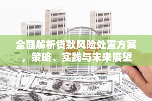 隆昌全面解析贷款风险处置方案，策略、实践与未来展望