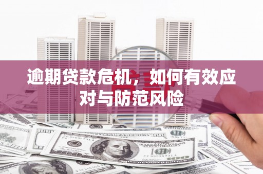 隆昌逾期贷款危机，如何有效应对与防范风险