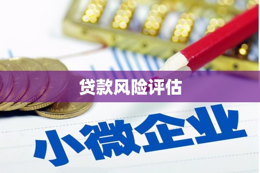 隆昌贷款风险评估