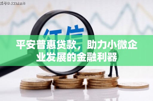 隆昌平安普惠贷款，助力小微企业发展的金融利器