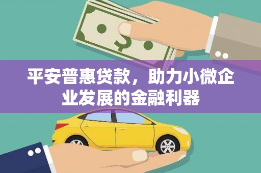 隆昌平安普惠贷款，助力小微企业发展的金融利器