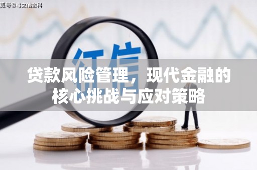 隆昌贷款风险管理，现代金融的核心挑战与应对策略