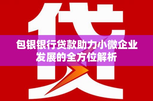 隆昌包银银行贷款助力小微企业发展的全方位解析