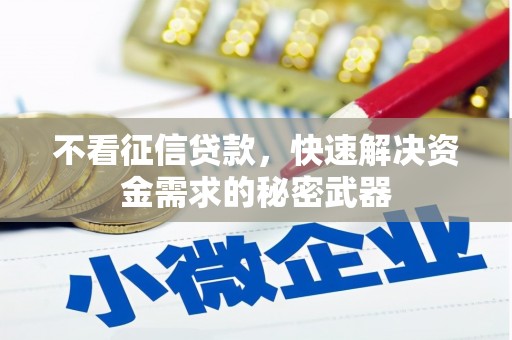 隆昌不看征信贷款，快速解决资金需求的秘密武器