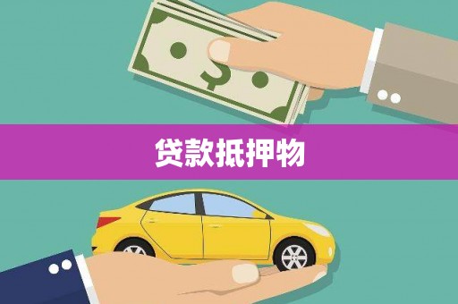 隆昌贷款抵押物